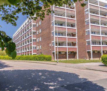 Fyrverkaregatan 8 - Foto 4