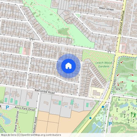 2/33 Buckingham Road, Vic 3220, Newtown