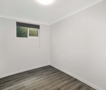 Aro Valley , Spacious 5 bedroom flat - Photo 6