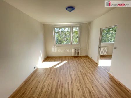 Pronájem bytu 2+kk Jílové 36 m - Fotografie 3