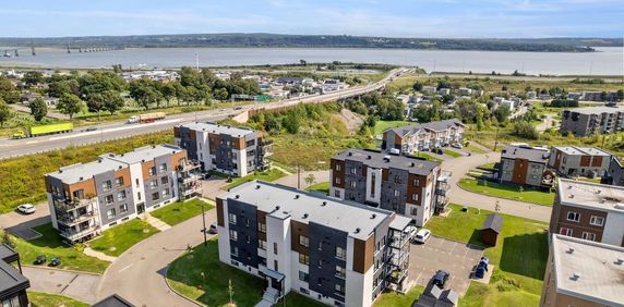 ANIMAUX ACCEPTÉS, Grand 51/2 vue partielle sur le fleuve - Photo 2