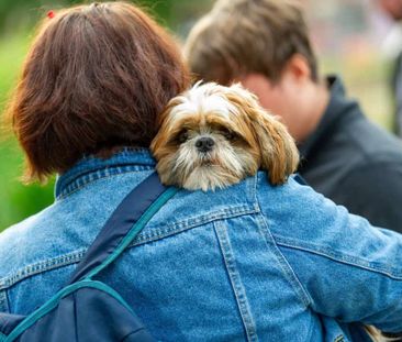 Farrier, M5 4UY, Manchester - Photo 2