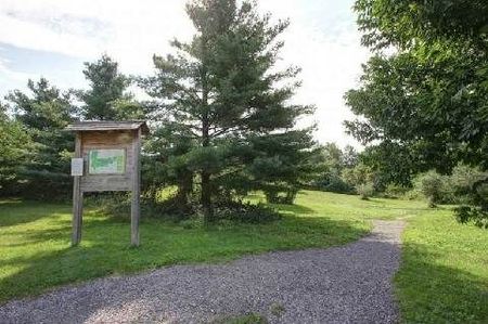 For Lease - 153 Niagara Drive, Oshawa, Ontario - Photo 4