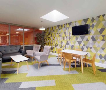 Bronze Studio Deluxe - Photo 4