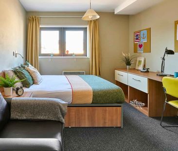 Classic Studio - Photo 6