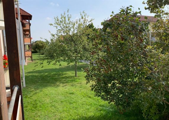 Tolle 2-Raum Wohnung in Gerichshain bei Machern! - Foto 1