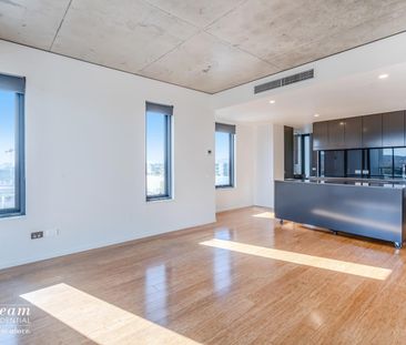 204/241 Northbourne Avenue, Lyneham ACT 2602 - House For Rent | Domain - Photo 5