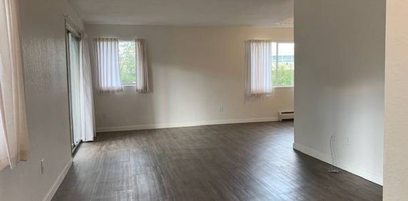 Vacant & Available Now 2 Bedroom - Photo 2