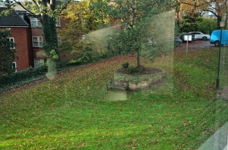 Holly Bank House, 127 Holgate Rd, York, YO24 4DE - Photo 5