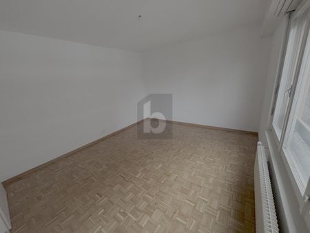 PROCHE DU LAC ET VUE SPLENDIDE SUR LES ALPES - Photo 3