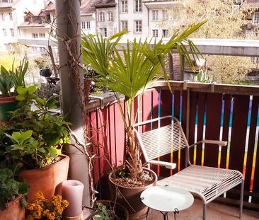 3½ Zimmer-Wohnung in Bern - Matte, möbliert, auf Zeit - Photo 3