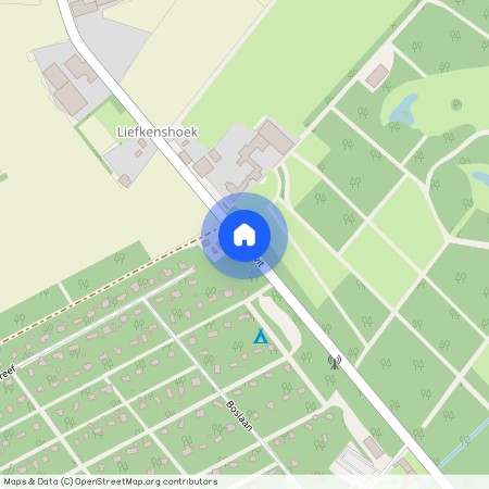 Kievit, Baarle-Nassau