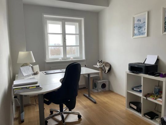 Geräumige Drei Zimmer Wohnung im Zentrum von Krems - Photo 1