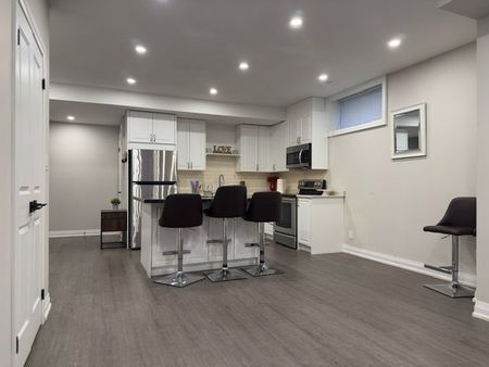 For Lease - 48 Enfield Avenue Unit# Bsmt, Toronto, Ontario - Photo 4