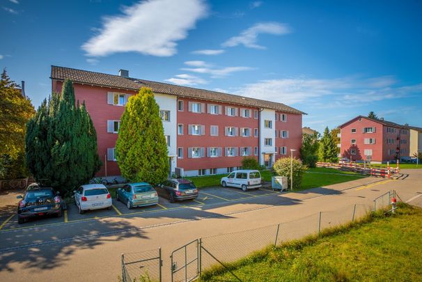 Rent a 3 rooms apartment in Kempten-Wetzikon - Photo 1