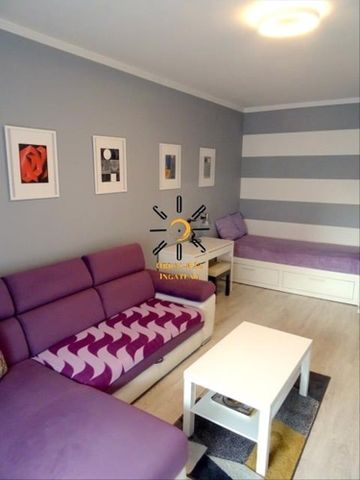 Kiadó lakás - Pécs - Fotó 5