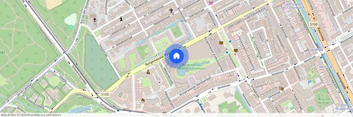 Archipelbuurt, 2585 DJ, Burgemeester De Monchyplein, Den Haag