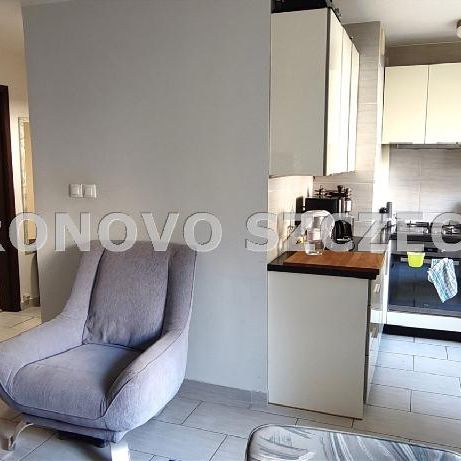 Mieszkanie Szczecin Dąbie powierzchnia 57.6 m² C319-WM-41923 - Photo 1