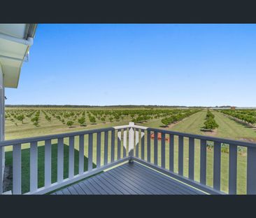 12 Patchs Beach Road, East Wardell, NSW 2477 - Photo 5