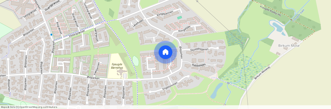 Druemunken 24, 5220 Odense SØ