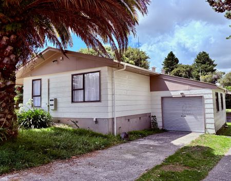 Charming Three Bedroom House - Pukehangi - Photo 5