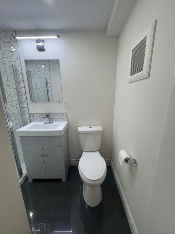 For Lease - 102 Lanark Circle Unit# Basement, Brampton, Ontario - Photo 4