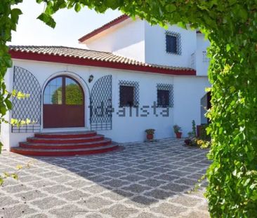 Alquiler de casa o chalet independiente en Carril de Roche Viejo, 3 - Photo 4