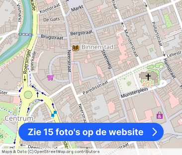 Tijdelijk wonen met karakter in het hart van Roermond, stijlvol, co... - Foto 1