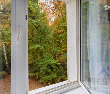 Gdynia Witomino, ul. Nauczycielska - Zdjęcie 1