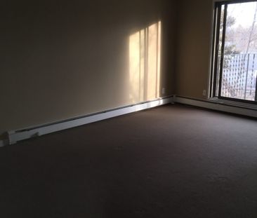 2318 Arlington Ave - 1 Bedroom In Clean Quiet Building Available fo... - Photo 3