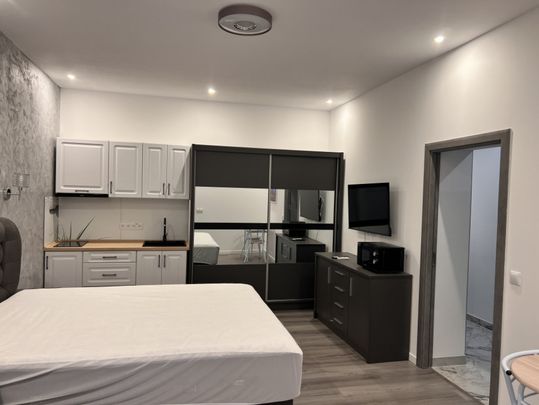 Camere studio ultracentral aproape facultate Medicina - Photo 1