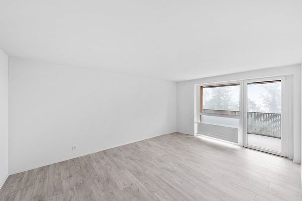 Schöne, zentral gelegene Wohnung - Foto 1