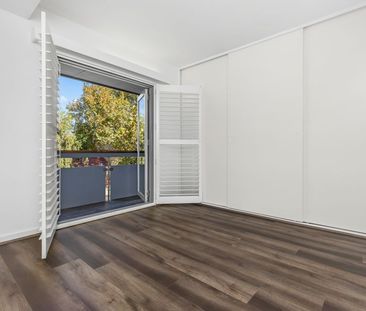 141 Mitchell Road, Alexandria NSW 2015 - House For Rent | Domain - Photo 4