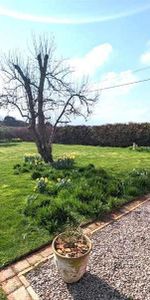 High Street, Holme, Newark, NG23 - Photo 3