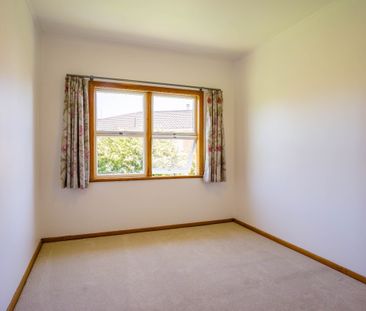Beautifully Renovated Large Family Home - Photo 4