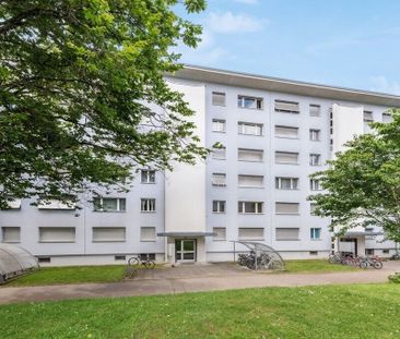 Happiness at first sight in the home - Photo 4