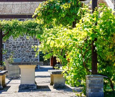 Haverfordwest - Photo 4