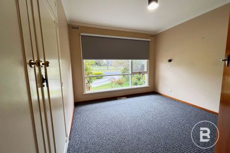 1795 Sturt Street, Alfredton - Photo 3
