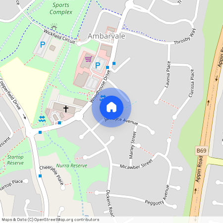 9 Jarndyce Avenue, NSW 2560, Ambarvale