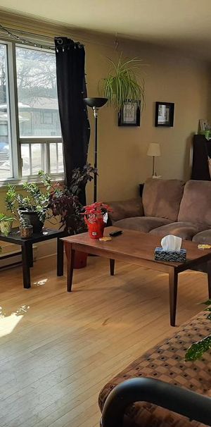 Grand 6 1/2 à louer proche de l'Université Laval - appartement / logement - Photo 1