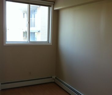 Very nice 1 bdrm + 1 den apartment in China Town! - Photo 5