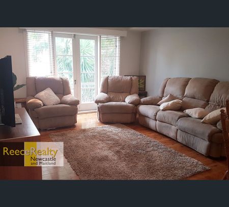 11 Jacknorman Street, Waratah West, NSW 2298 - Photo 2