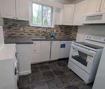 For Lease - 358 Browndale Crescent Unit# MainFlr, Richmond Hill, On... - Photo 6