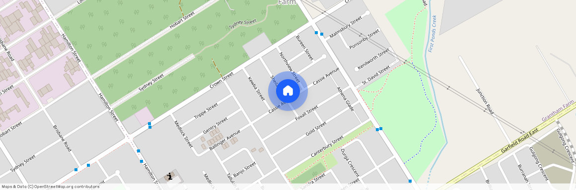 33 Sheila Street, Grantham Farm NSW 2765