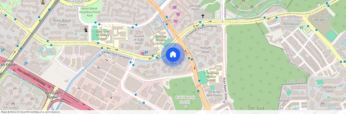 290C Bukit Batok East Avenue 3 (650290), Singapore
