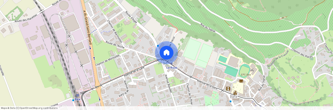 1880, Bex, Avenue De La Gare, 48