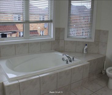 For Lease - 8 Mimosa Street, Markham, Ontario - Photo 6