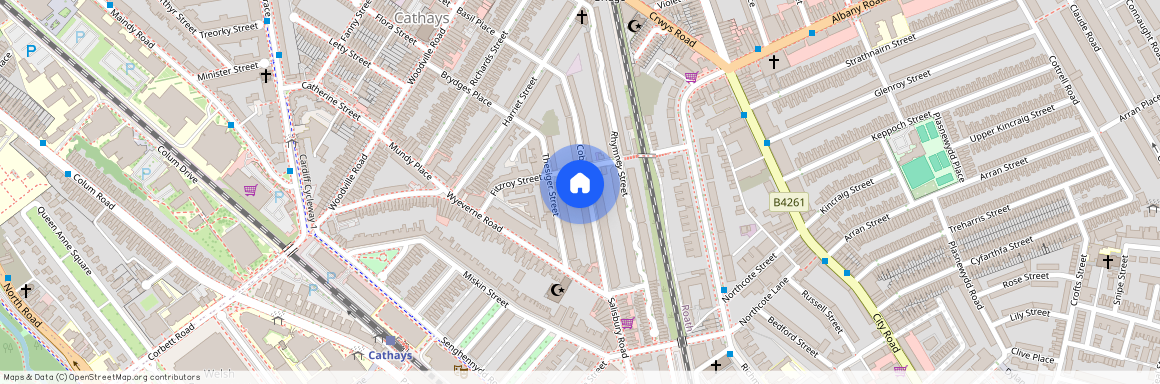 Coburn Street, CF24 4BQ, Cathays