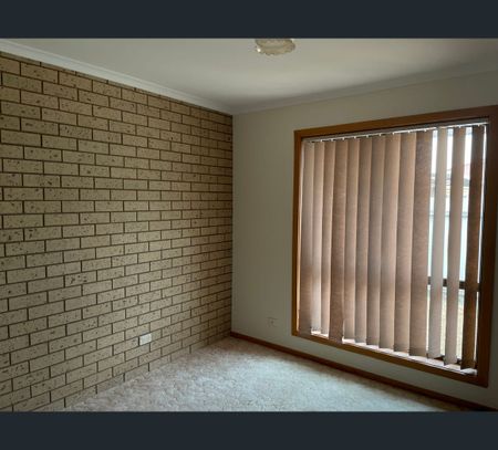 3/167 SWALLOW STREET, Shepparton, Vic 3630 - Photo 5