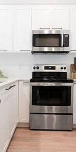 2B 2Ba JR, Sorry No Pets, All Appliances Included, Close To Skytrain! - Photo 3